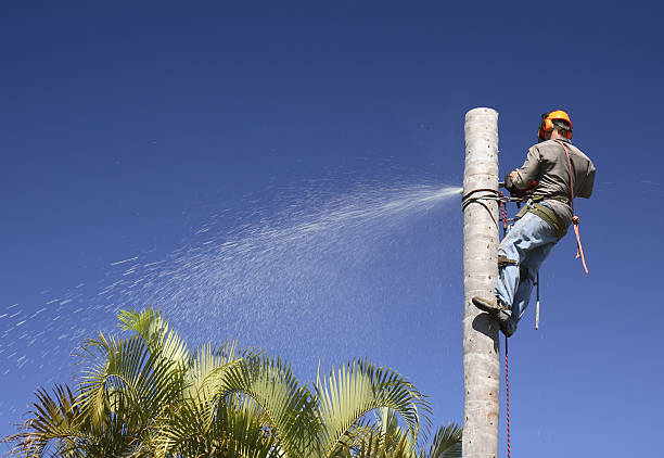 Best Leaf Removal  in Unionville, NC